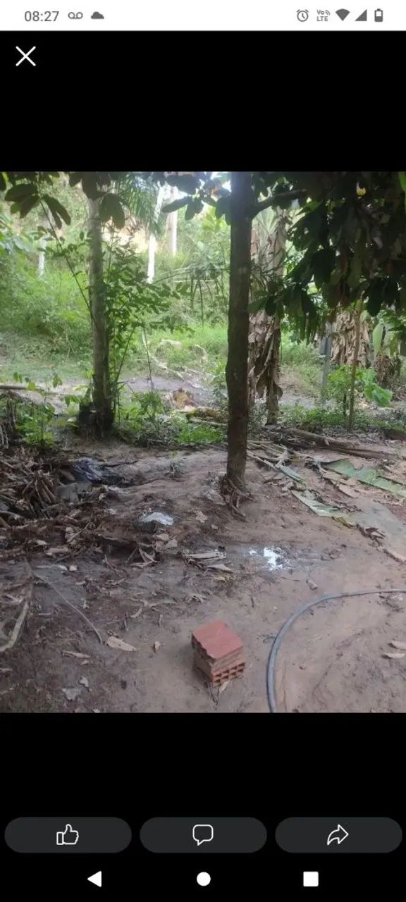 Terreno  - Foto 3