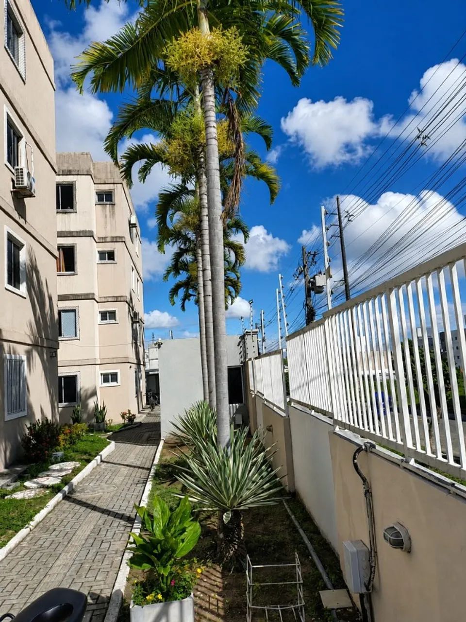 Unidade Térrea à venda - Paratibe - Foto 3