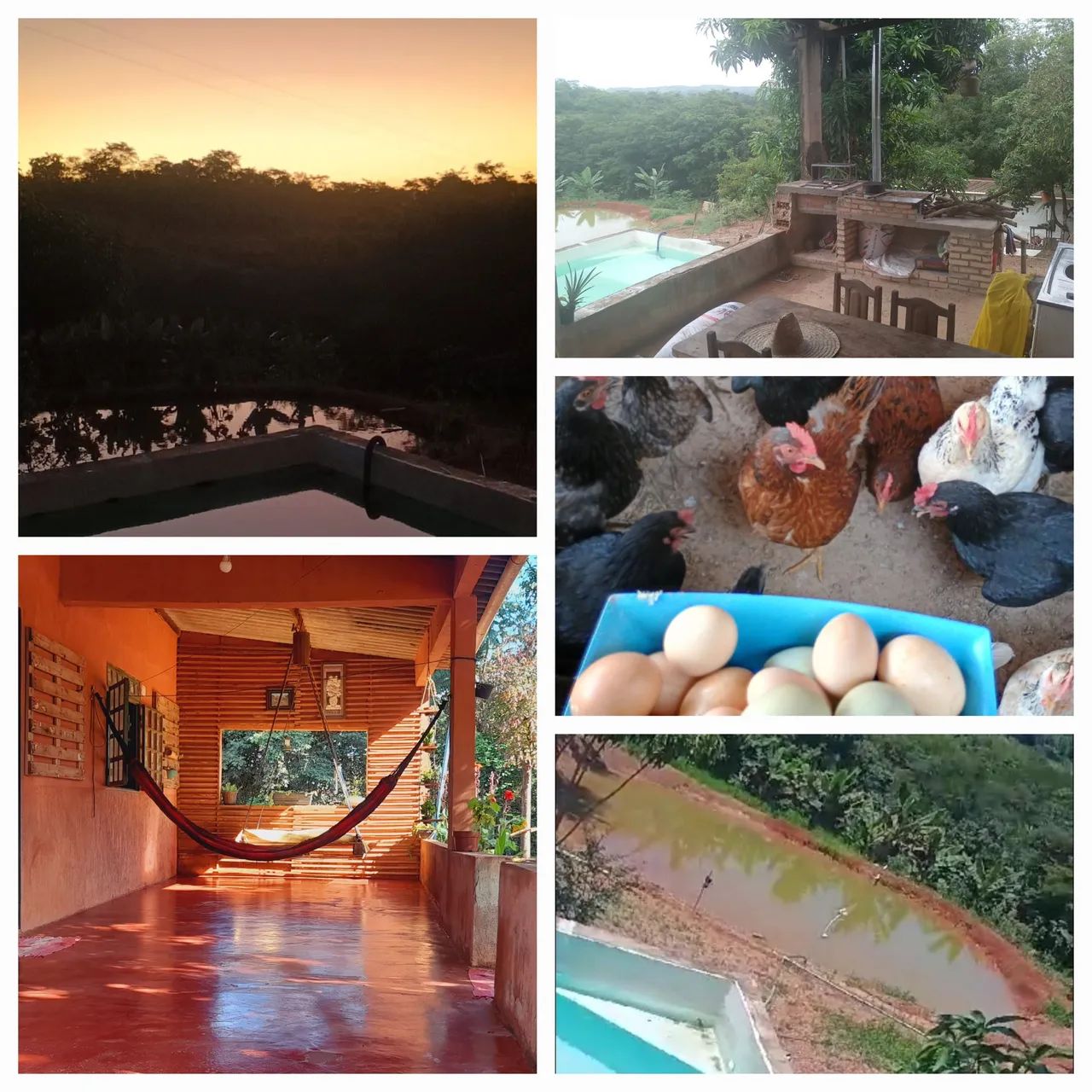 Chácara /sitio / fazenda - Foto 2