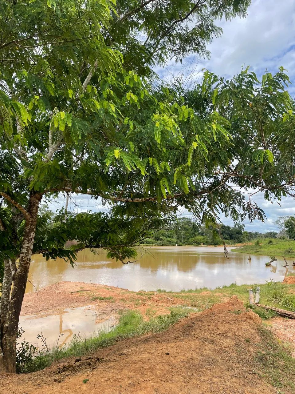 Colônia em Acrelândia  - Foto 5