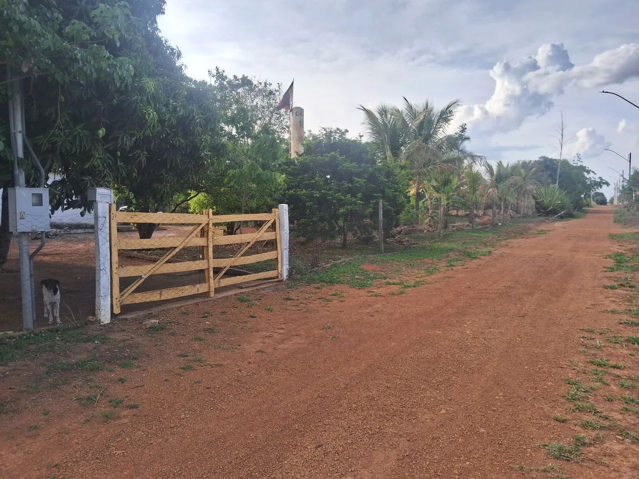 Foto - Brasília - Setor Habitacional Jardim Botânico
