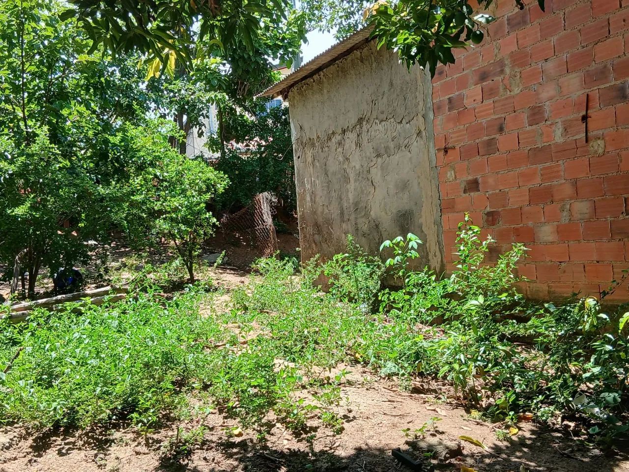 Vendo chácara 1200 mtrs área verde - Foto 3