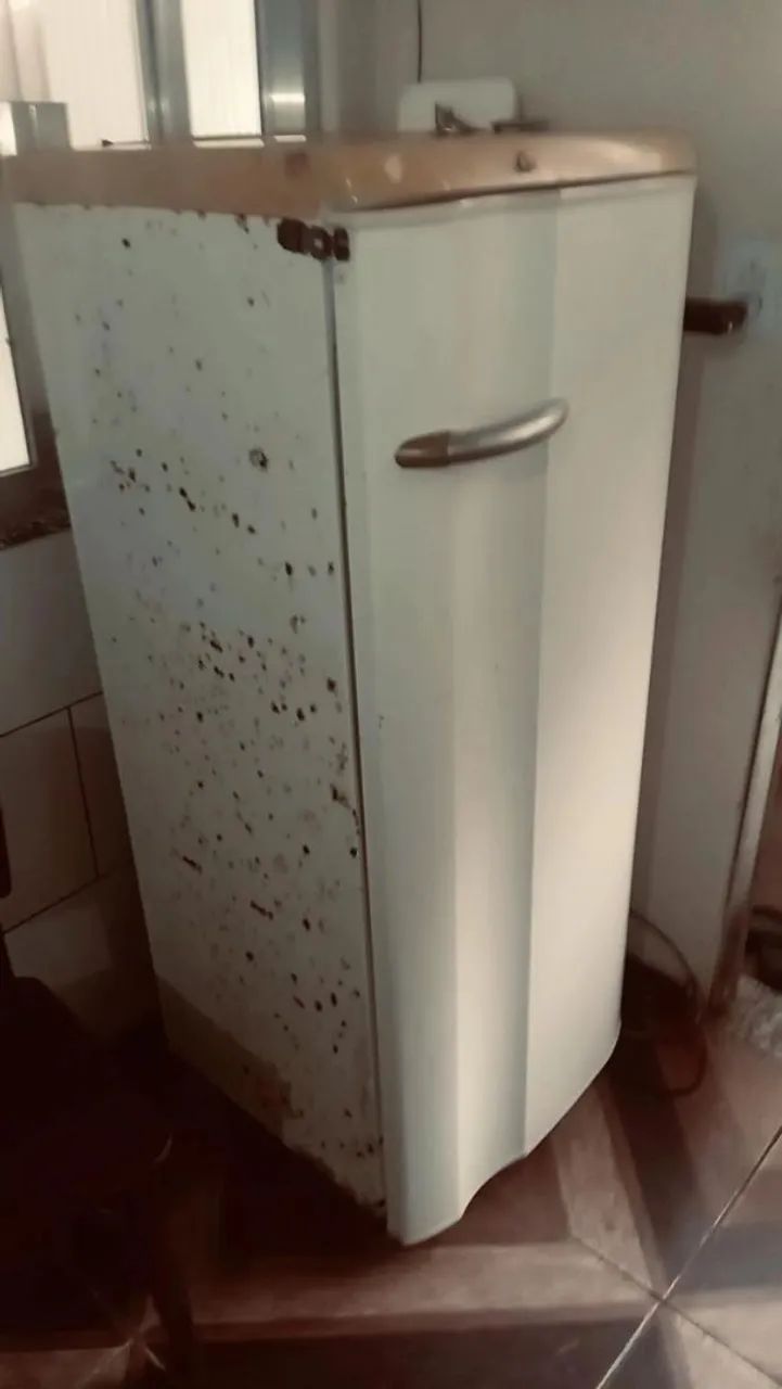 Geladeira Electrolux 
