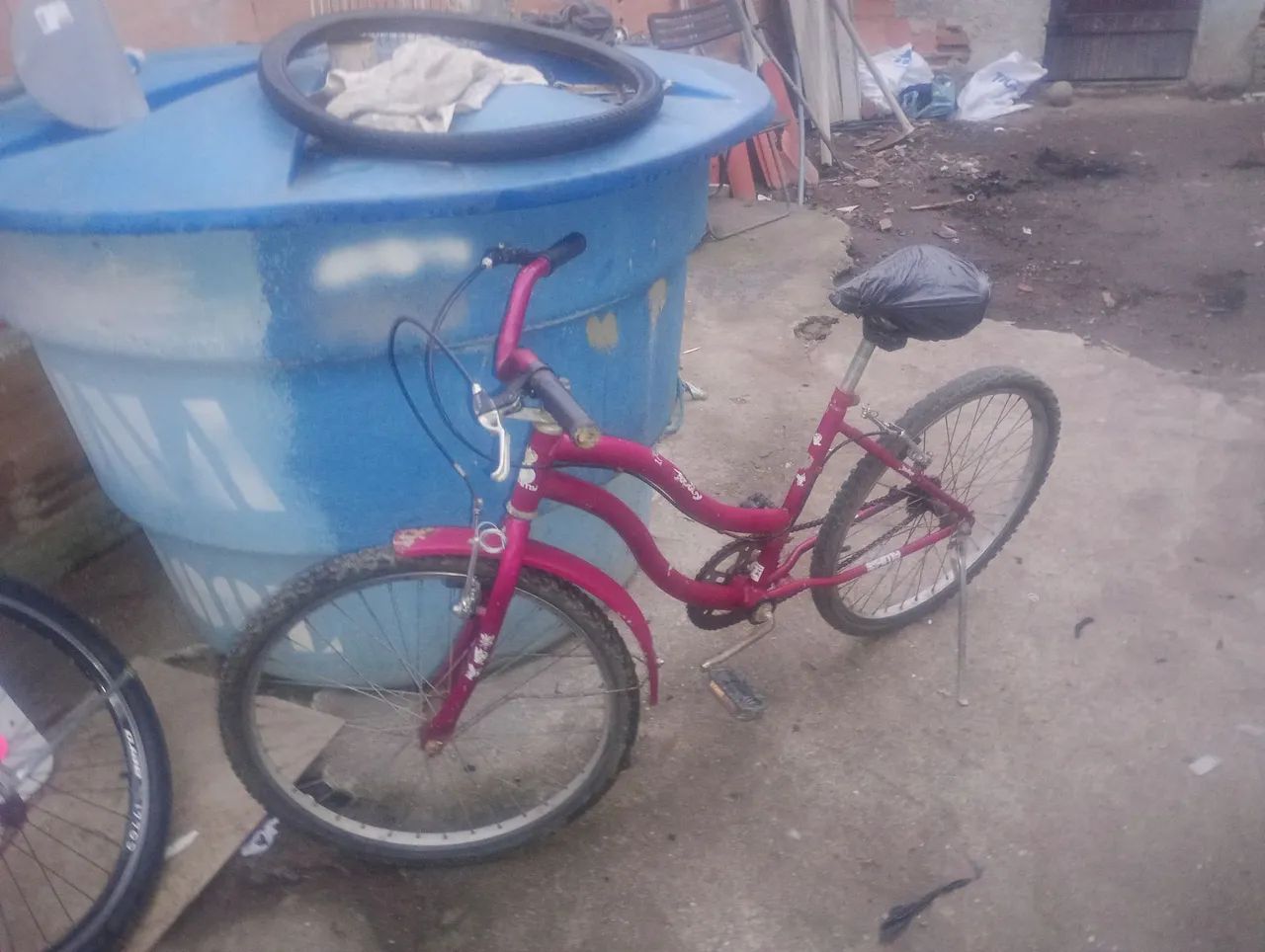 Bicicleta 