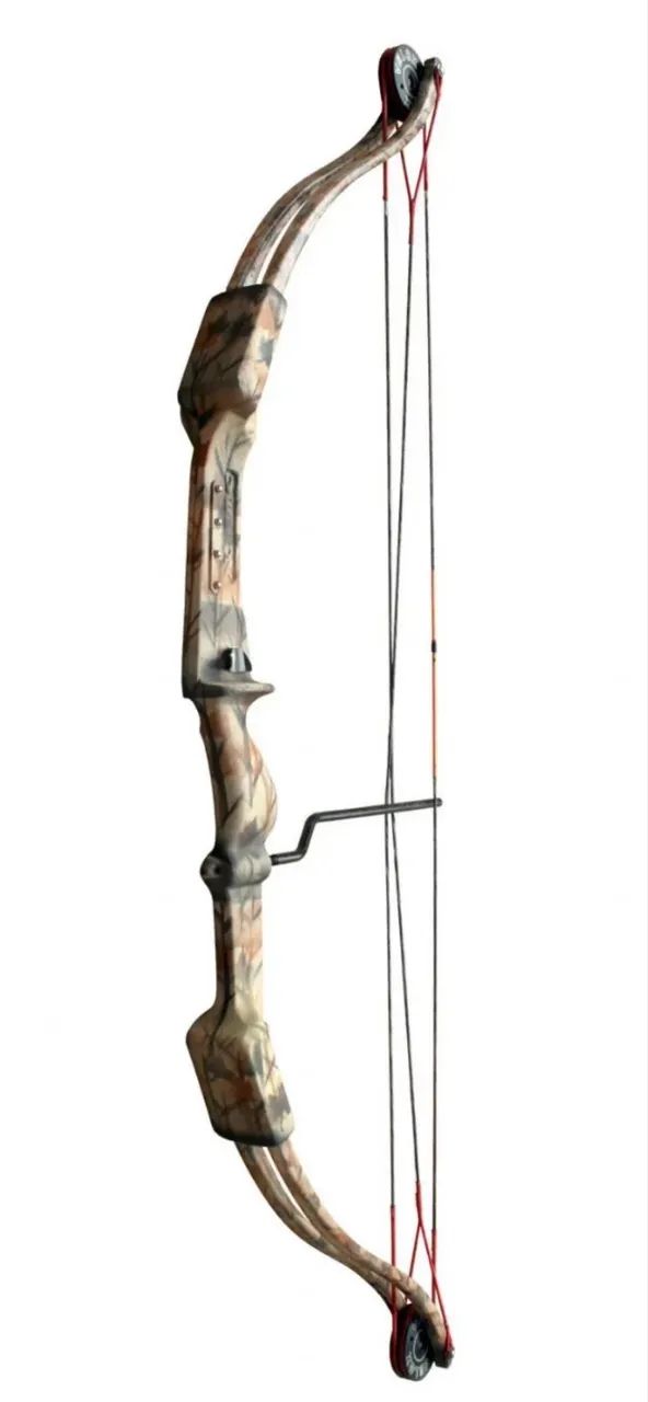 Arco composto 