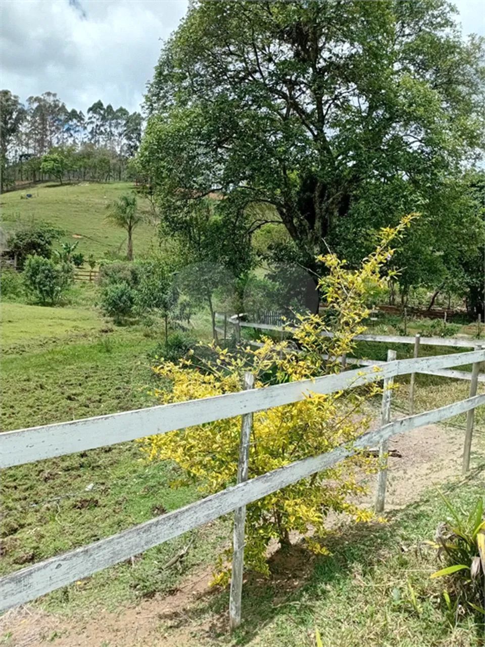 Sitio á venda em Lagoinha - Foto 4