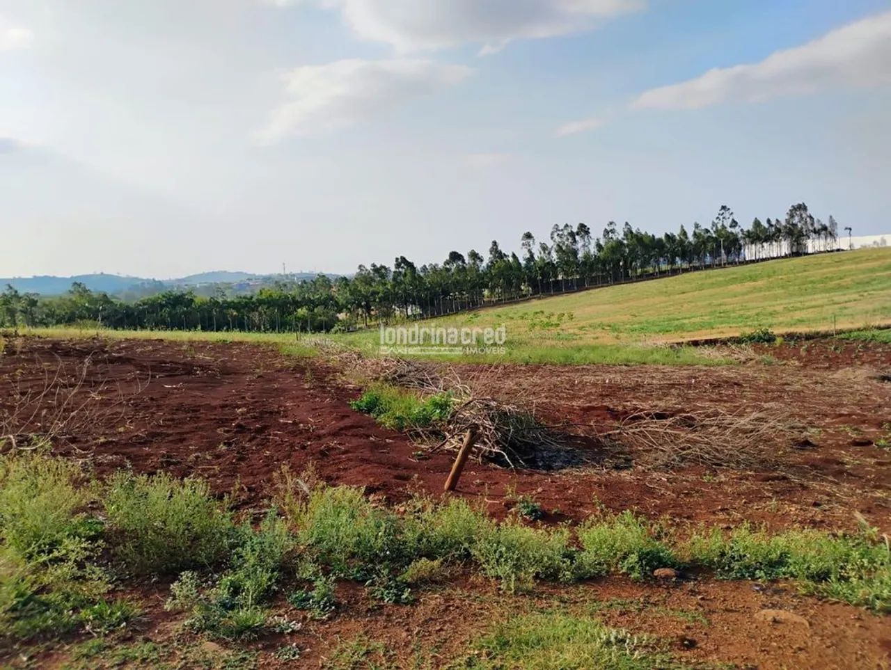 Terreno à Venda em Centro, Jataizinho - PR - Foto 4