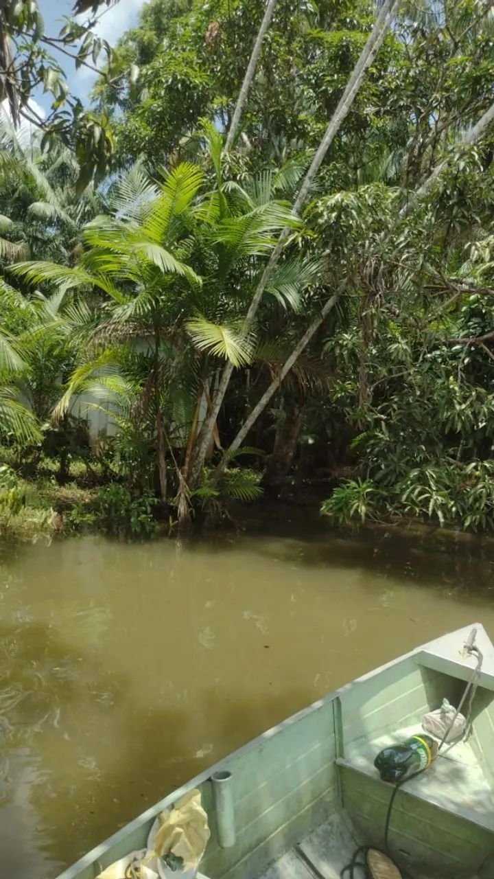 Terreno com mais de 360.000 m² - Foto 3