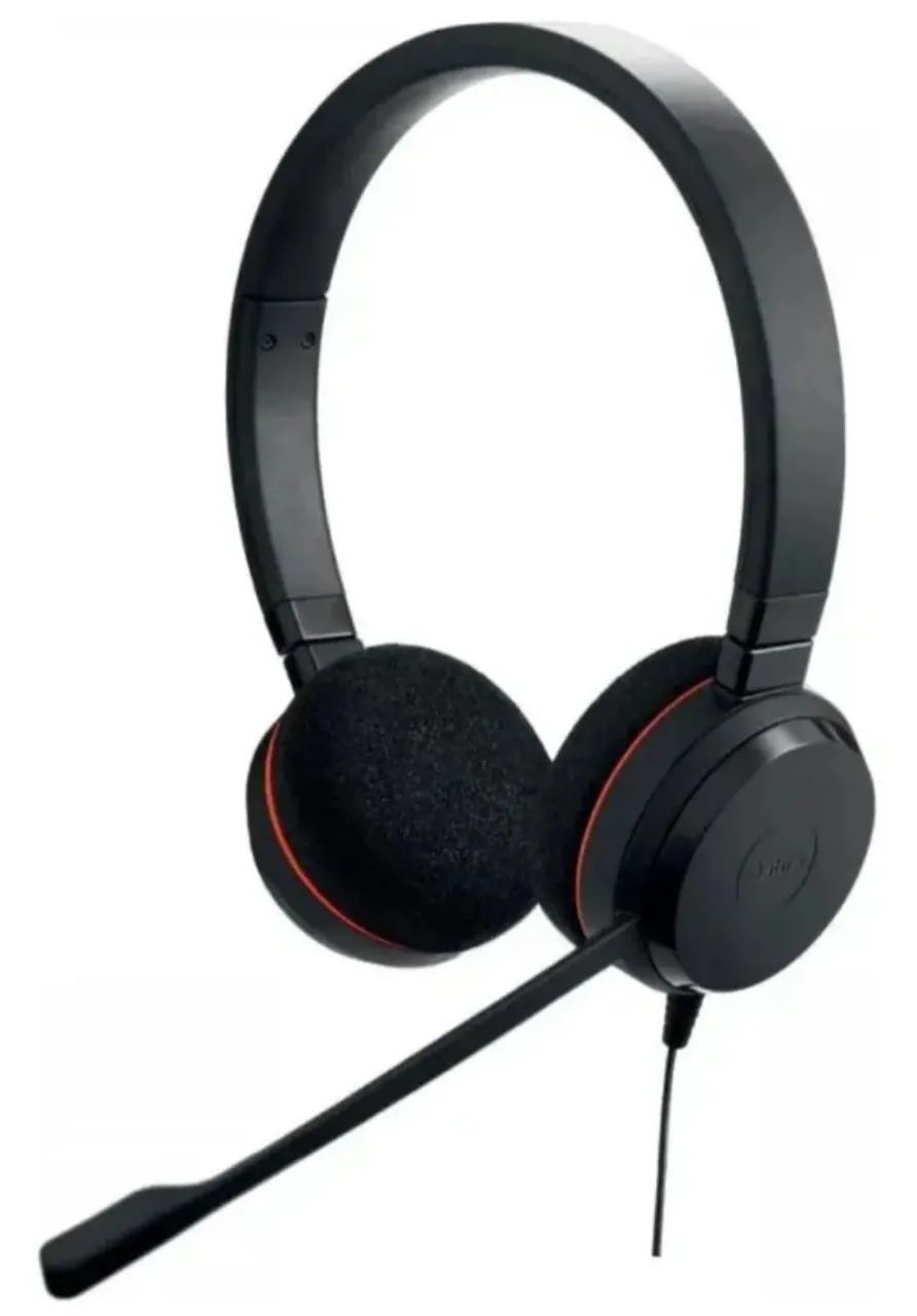 Jabra Evolve 20, Usb C, Stereo Ms 4999-823-189