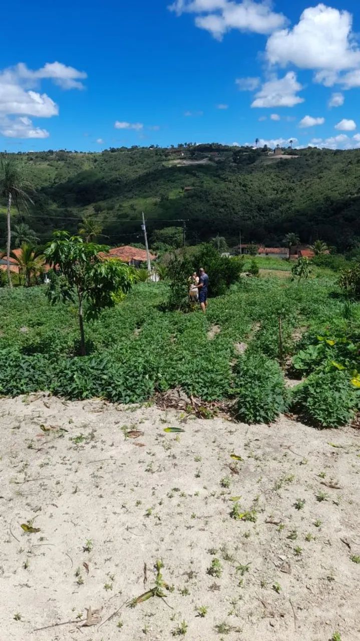 Oportunidade !!! - Foto 3