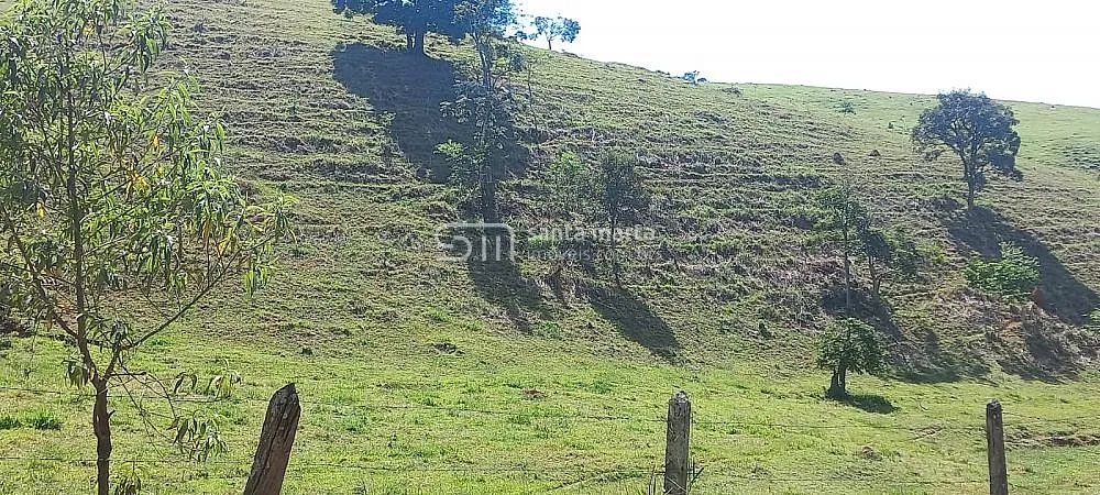 SÍTIOS  2,42HA CADA ACESSO E PREÇO ÍMPARES  LORENA - SP - Foto 5