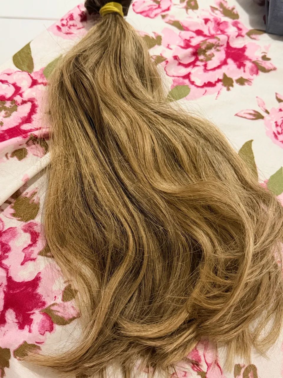 CABELO BRASILEIRO REGIONAL