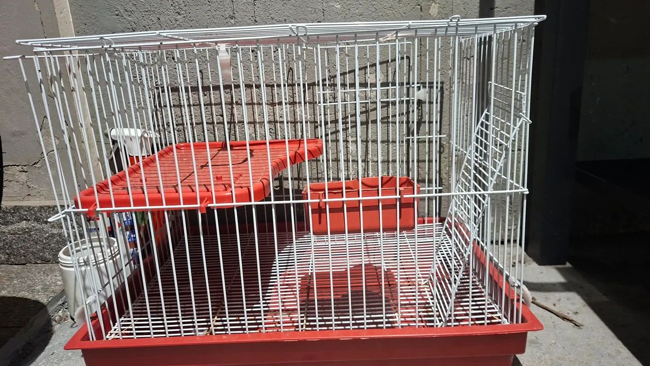 Gaiola para coelho - Foto 2