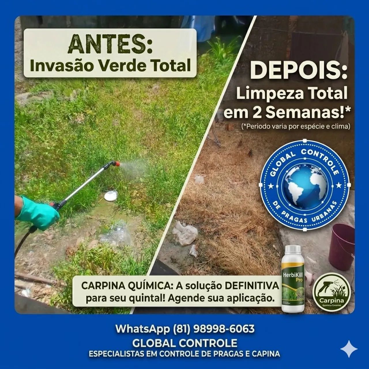 Dedetização recife  - Foto 5
