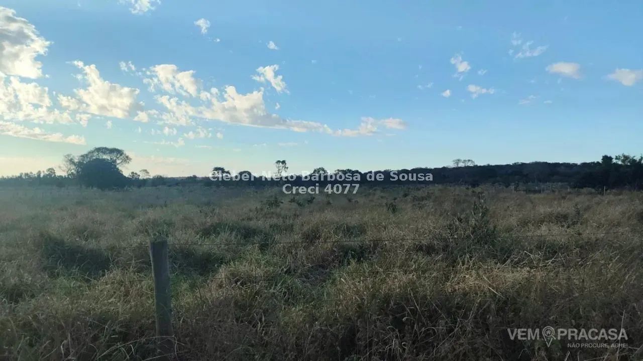 VENDO CHÁCARA EM ROCHEDO COM 25,5 HECTARES - Foto 2