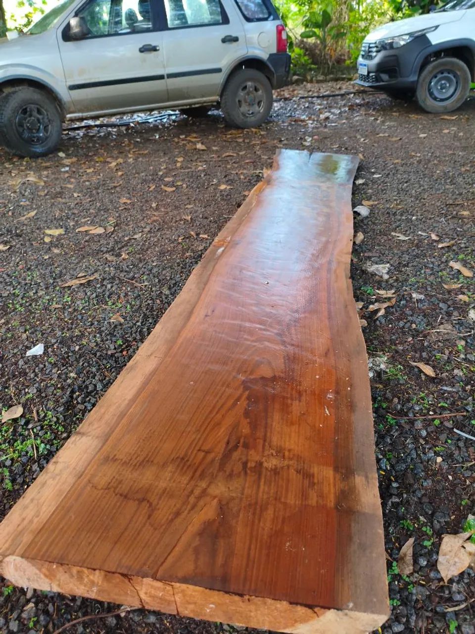Plancha antiga de ipê  - Foto 2
