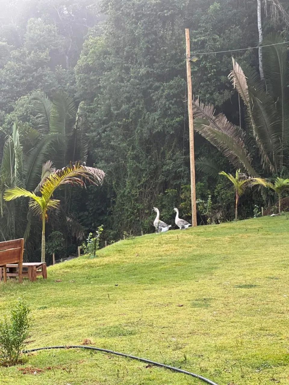 Vende-se linda  chacara com casa e área de churrasco com piscina   - Foto 13
