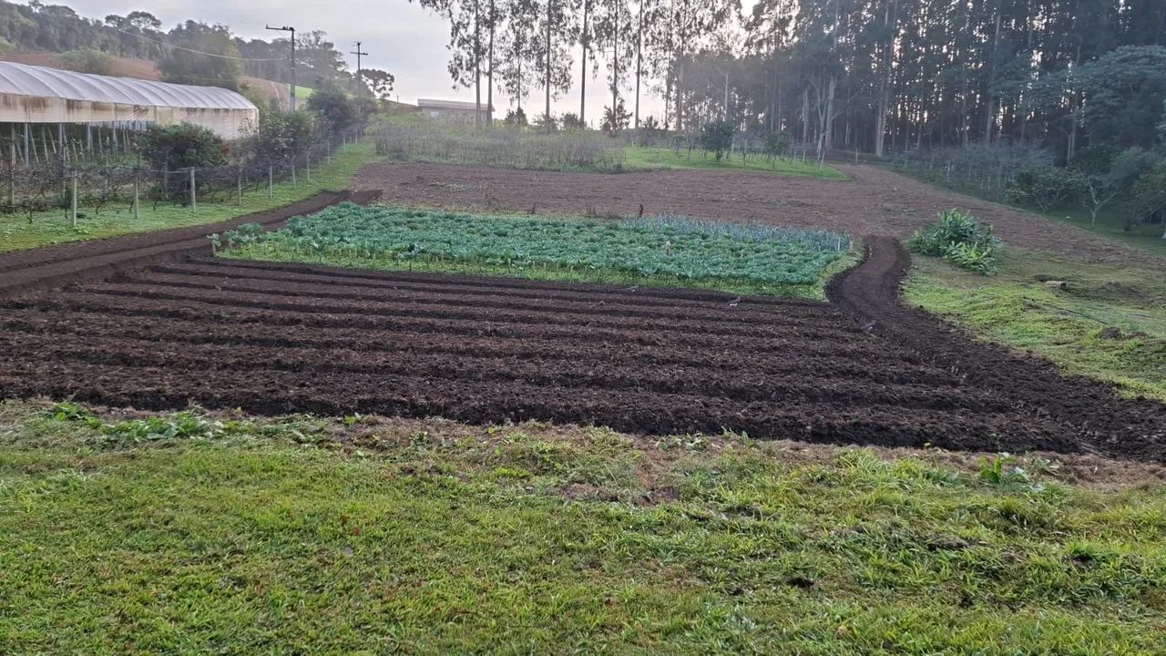 Chácara 12.000 m com 2 casa + 2 tanques + pomar e vinhedo + deck - Foto 4