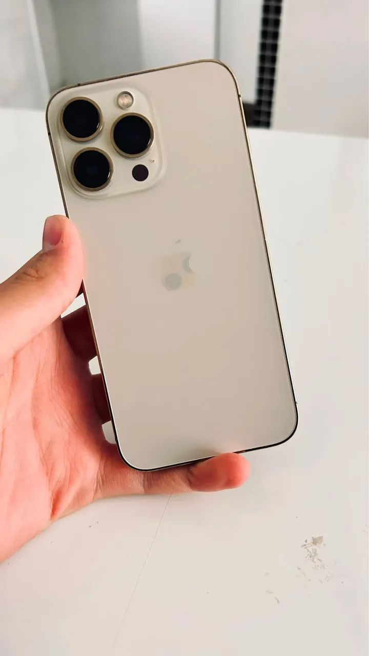 iPhone 13 Pro (256 Gb)
