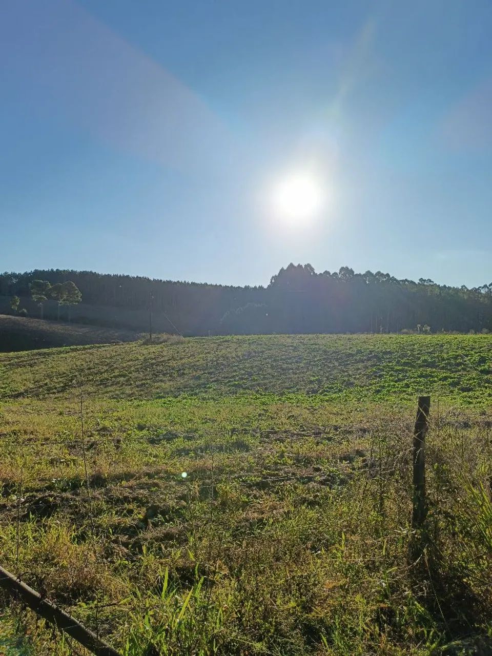 Sítio 2.2 hectares 
