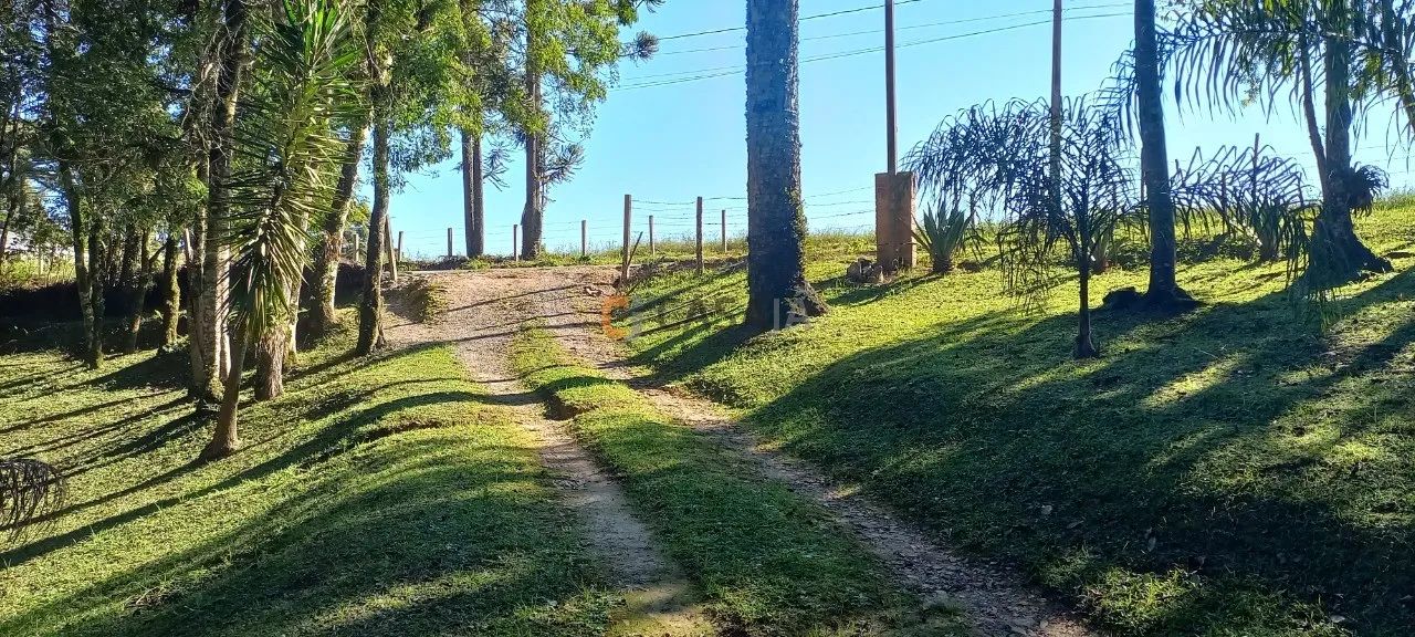 CHACARA RURAL em Balsa Nova - PR, Bugre - Foto 4
