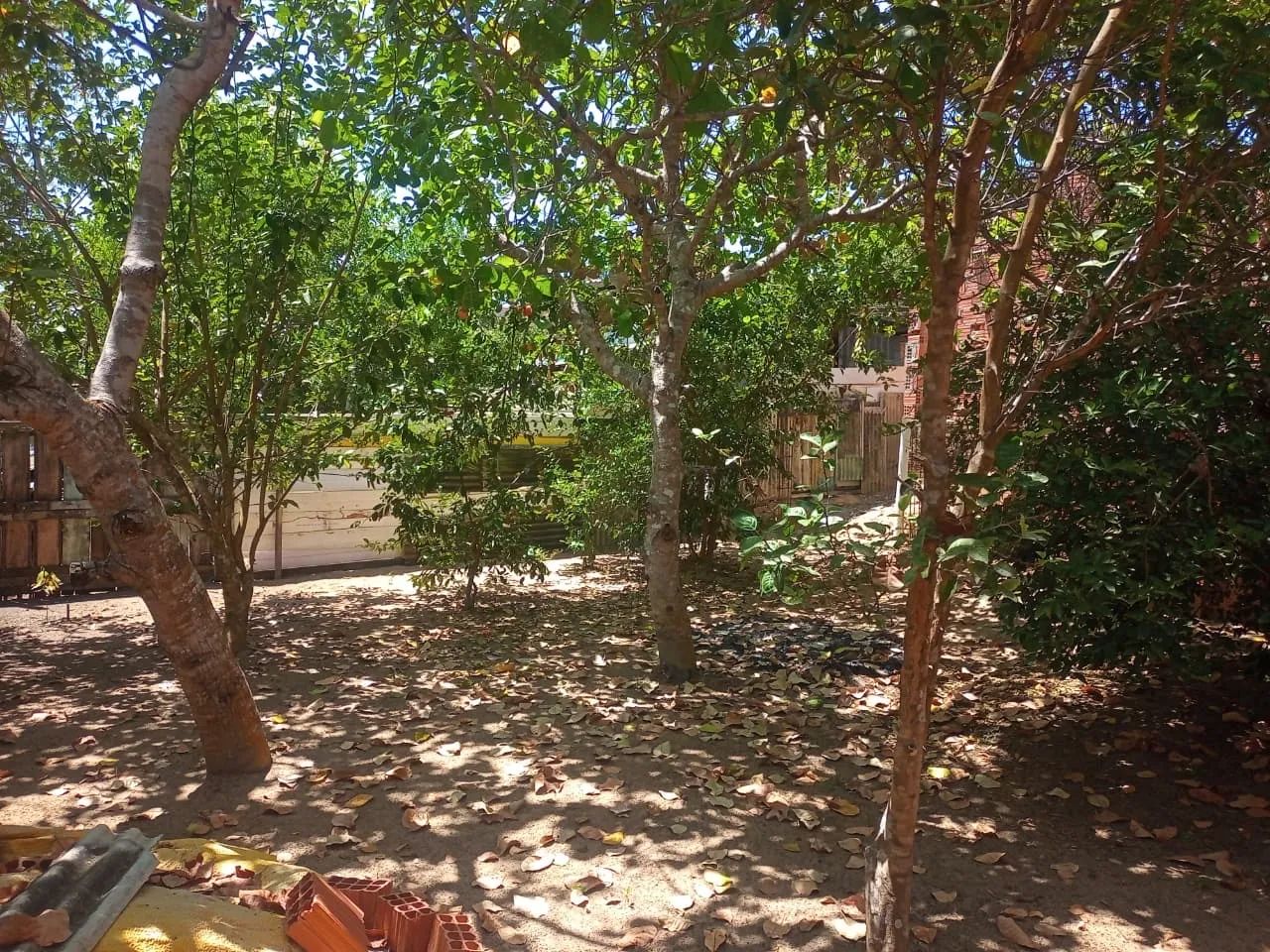 Negócio terreno  - Foto 5