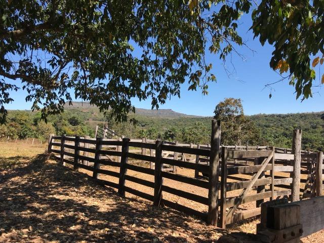 Fazenda Pecuária - 700 Ha - Chapada dos Guimarães - Foto 12