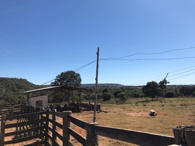 Fazenda Pecuária - 700 Ha - Chapada dos Guimarães - Foto 6