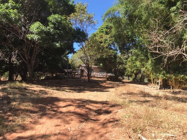 Fazenda Pecuária - 700 Ha - Chapada dos Guimarães - Foto 13