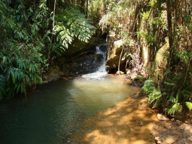 Fazenda, venda ou permuta - Foto 11