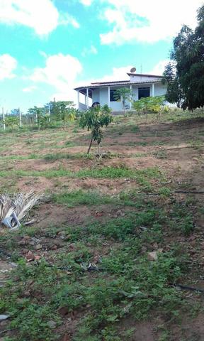 Sitio no Povoado de Olhos D'agua de Cima em Jacobina ba - Foto 5