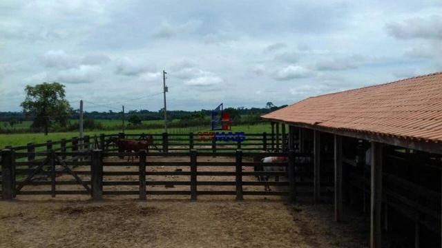 Fazenda à venda, por R$ 14.000.000 - Zona Rural - Cacoal/RO - Foto 4