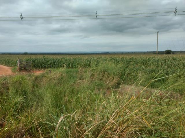 Fazenda. no Ms p Arrendamento de Lavouras 2650 há Show de Bola - Foto 2