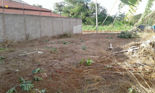 Lote - Foto 3