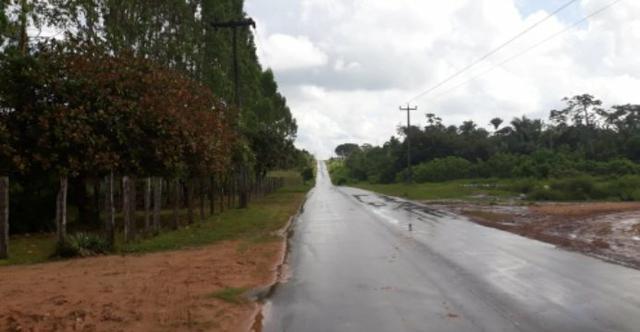 Vendo excelente chácara as margens da ma 216** 30 hectares em Penalva ma - Foto 16