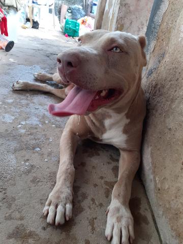 Cruza - Foto 3