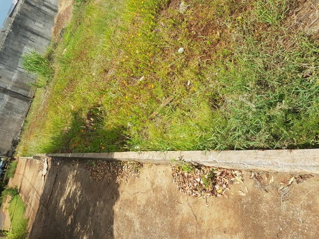 Alugo Terreno na Avenida Américo Belay 539 m²- Jardim Dias I - Foto 5