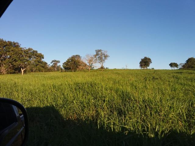Fazenda c/ 508he c/ 330he Formados, 28km de Alto Araguaia-MT - Foto 12