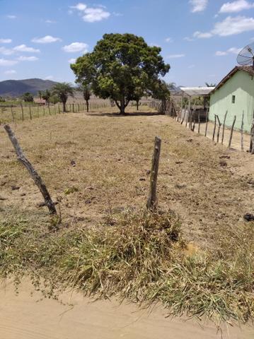 Terreno - Foto 6