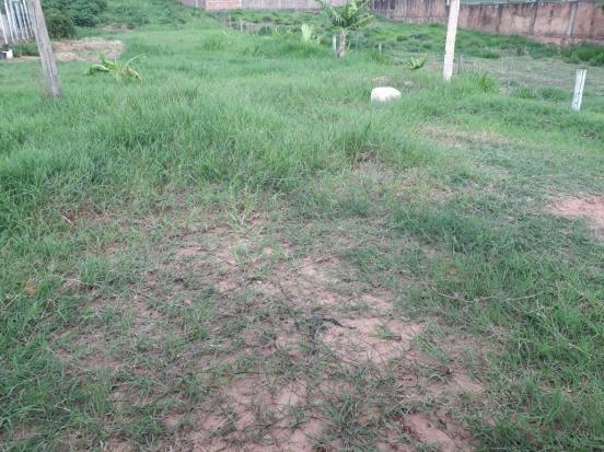 Casa em Jales - Jd. São Judas Tadeu - Proximo a Creche - Foto 7