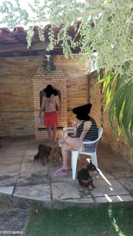 Alugo Casa de Praia no Pecém/Praia da colonia - Foto 10
