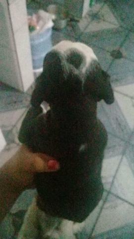 Vendo ou troco - Foto 2