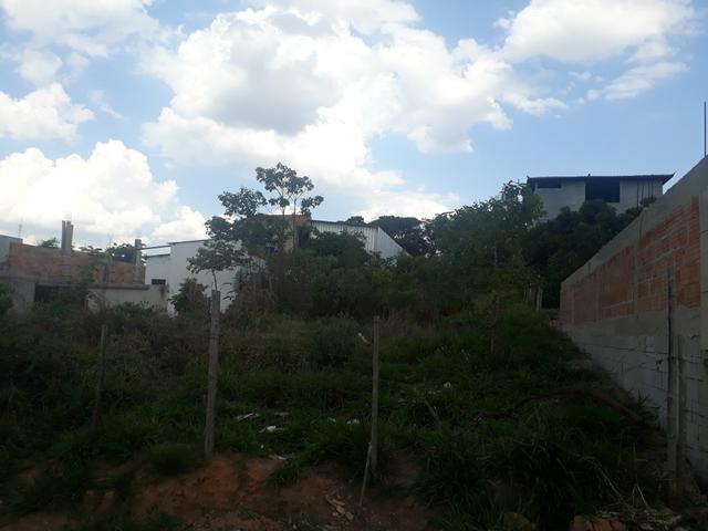 Lote 360m2 - Bairro Tupã - Foto 3