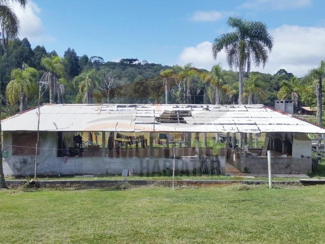 Fazenda no Taquari, Bocaiuva do Sul/PR - Foto 14