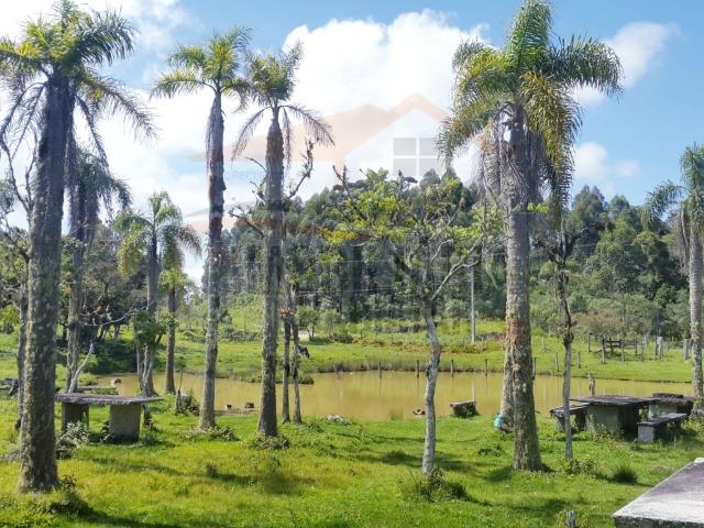 Fazenda no Taquari, Bocaiuva do Sul/PR - Foto 18