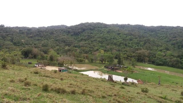 Fazenda Rio Pequeno, Campina Grande do Sul/PR