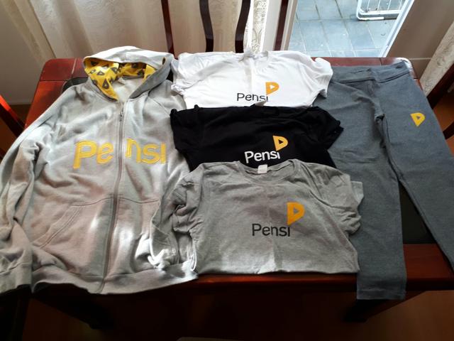 Uniforme pensi feminino semi novo