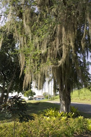 Condomínio Pedra Verde Maricá - Venha morar cercado da natureza! - Foto 4