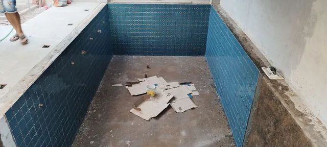 Azulejista  - Foto 4