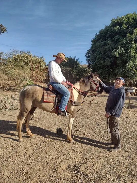 vendo ou troco égua pampa